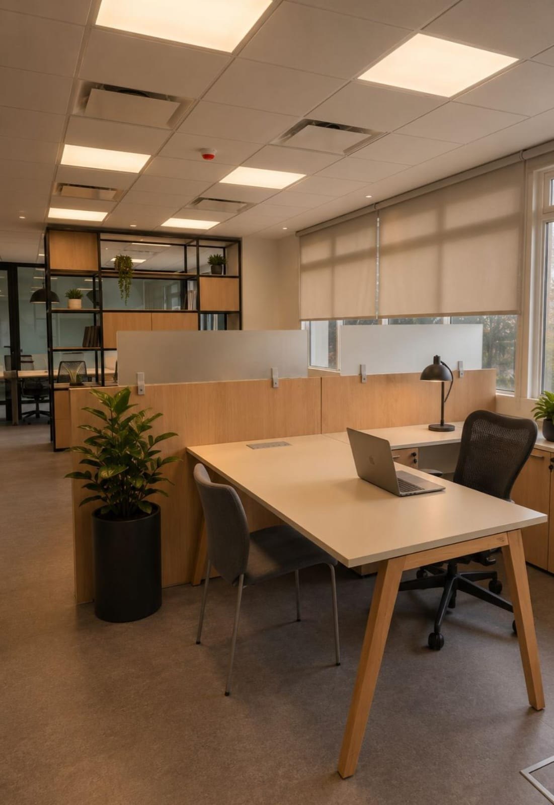 Oficinas Corporativas IFF · 3