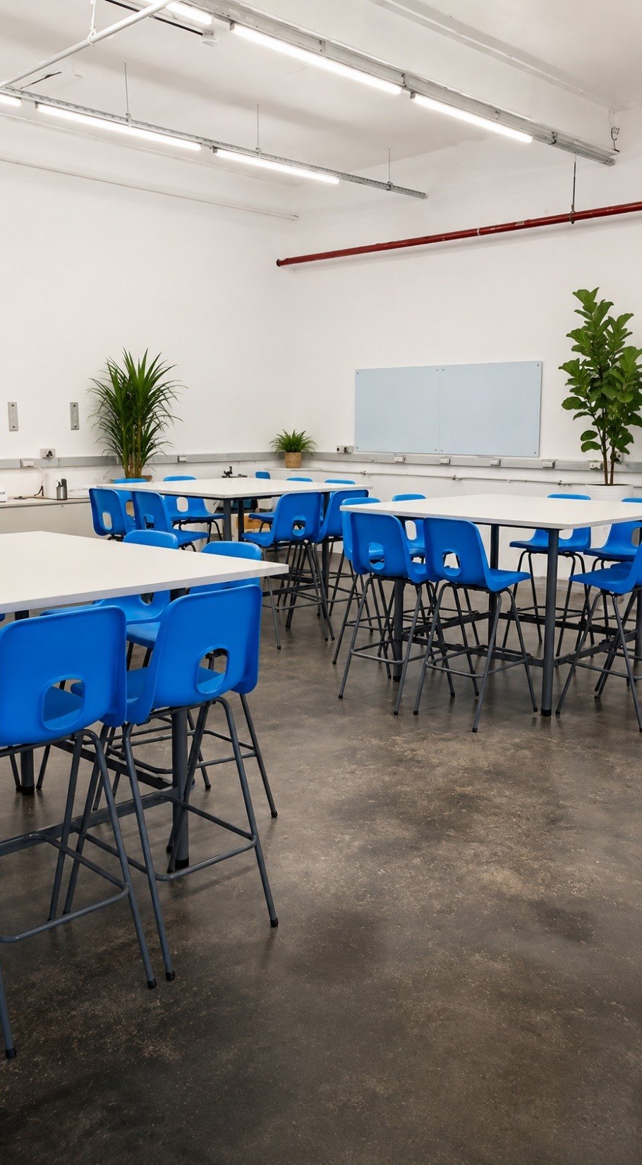 Escuela Philips · 13